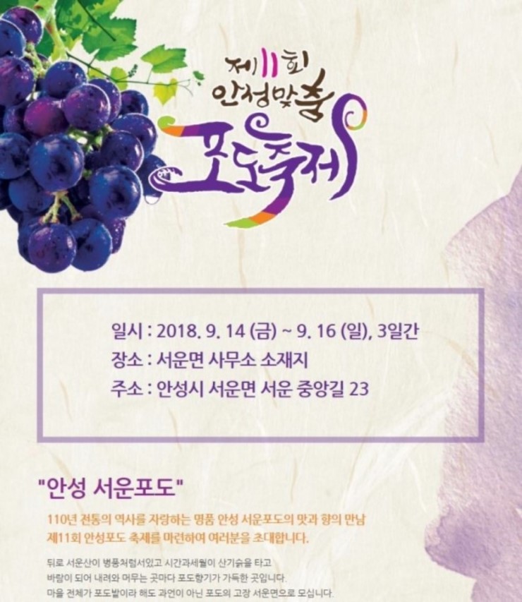 안성서운포도 이미지