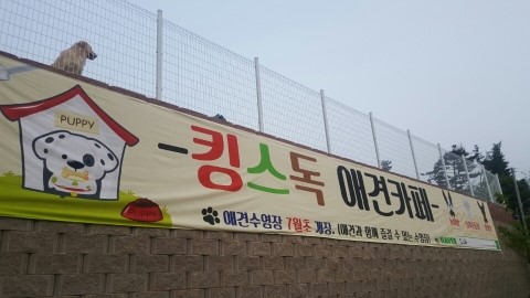 21세기광고기획 이미지