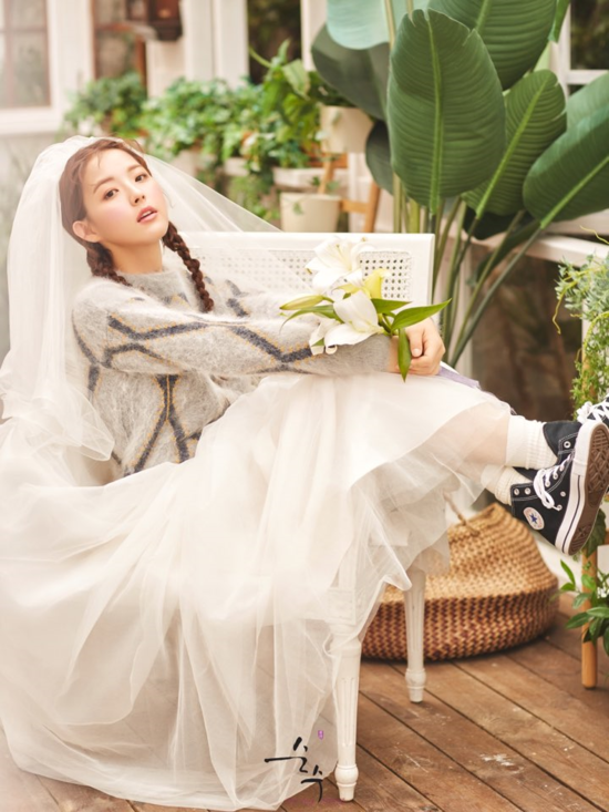 순수웨딩 이미지