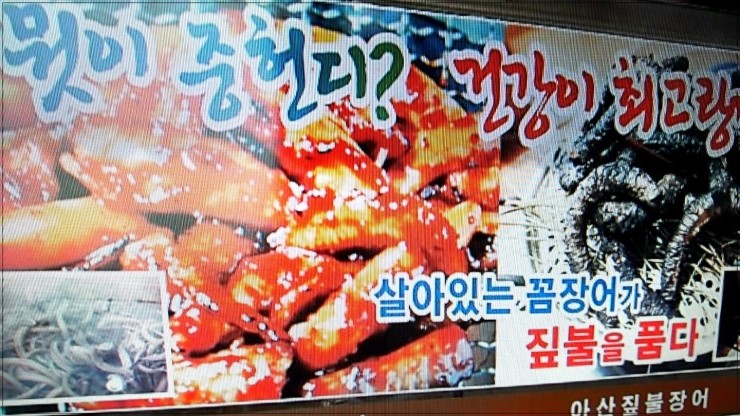 온양장어 이미지