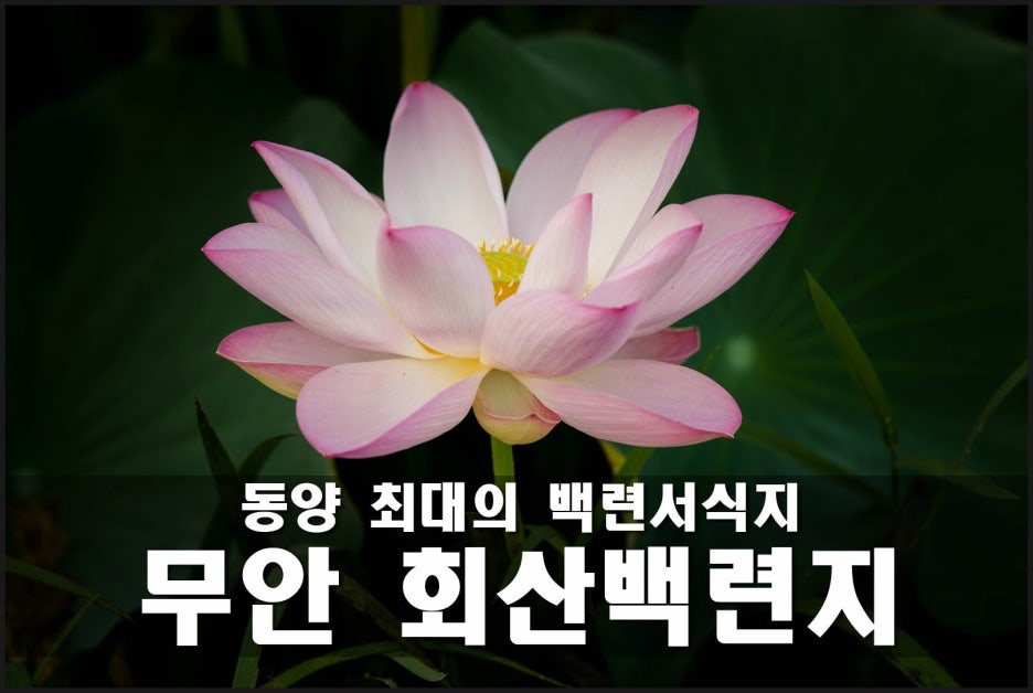 백련스튜디오 이미지