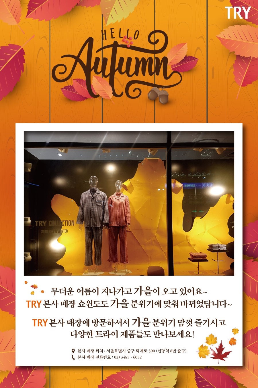 TRY본사 이미지
