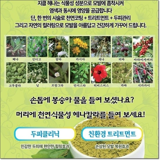 천연헤나 이미지
