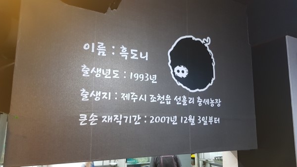 제주충세흑돼지 이미지