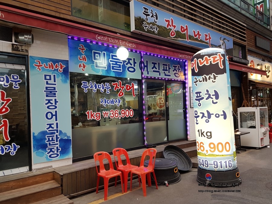 장어나다 이미지