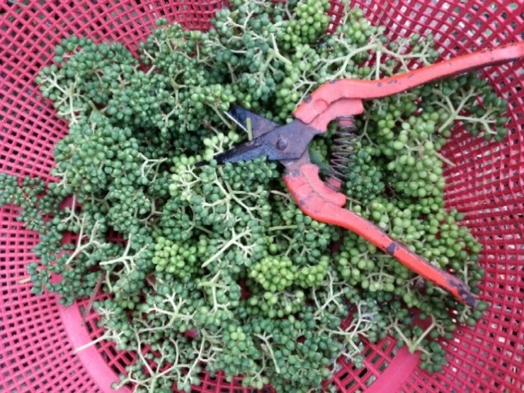 주신농산(주) 이미지