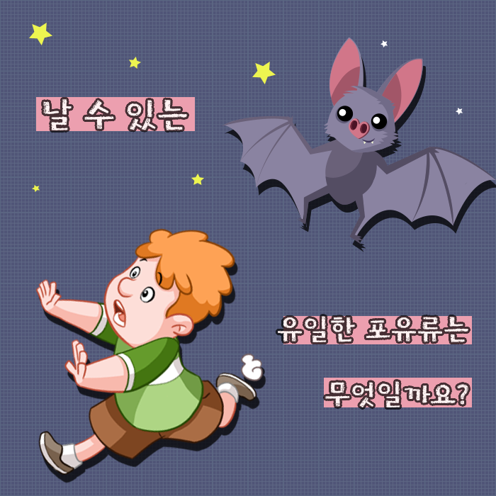 피플포유 이미지