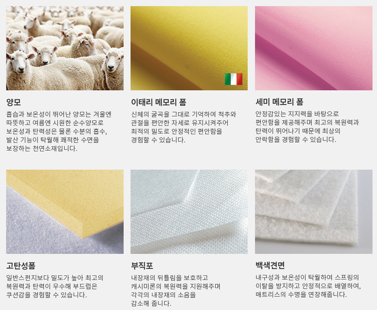 금성헬스 이미지
