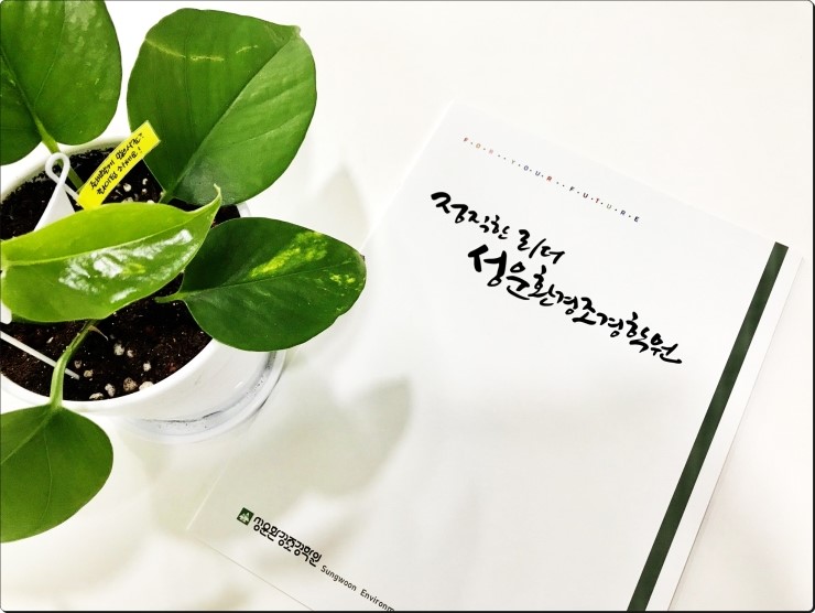 성운환경조경학원 이미지