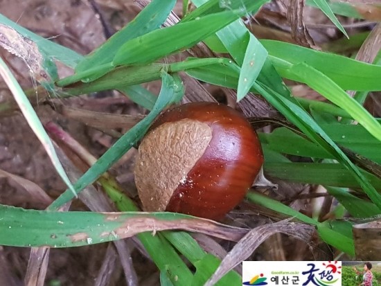 두란농장 이미지
