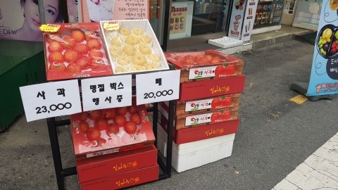 쥬스킹 이미지