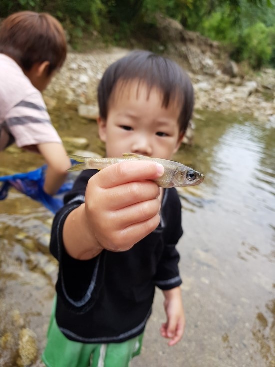 형제고개캠핑장 이미지