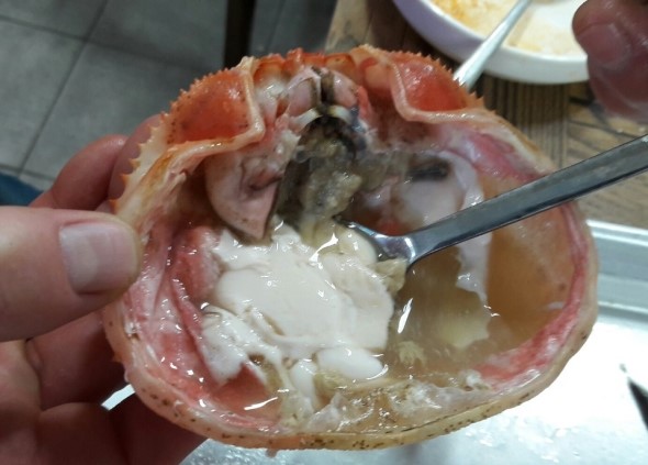 주문진웰빙홍게무한리필 이미지