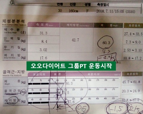 오오다이어트 이미지