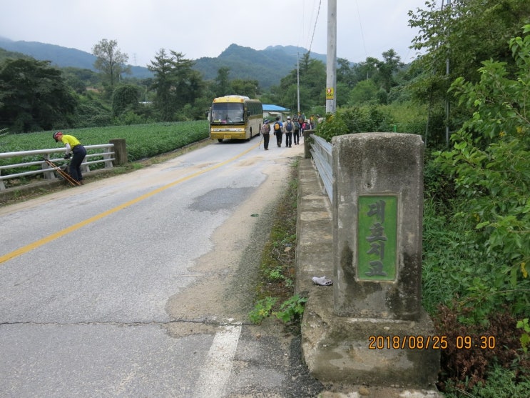 지교대호 이미지