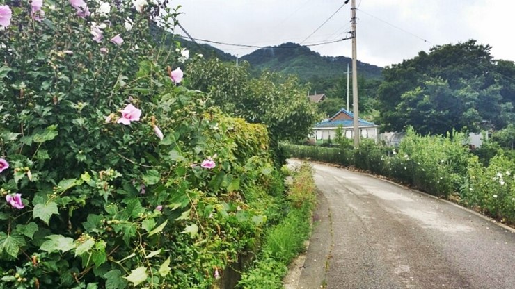 용두통닭 이미지