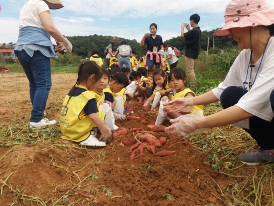 강화도황금농원 이미지
