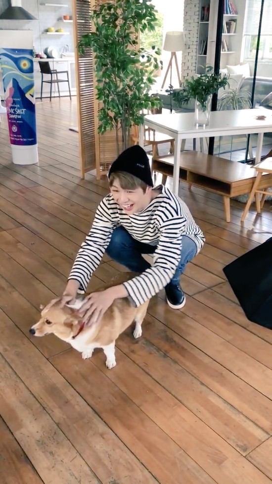 장패 이미지