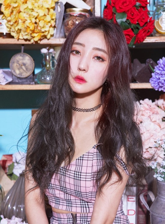로즈케이 이미지