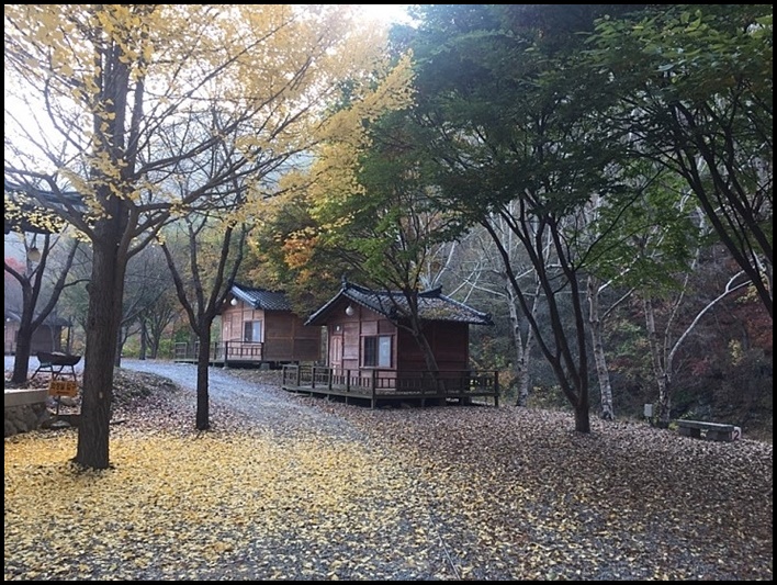 루트밸리 이미지
