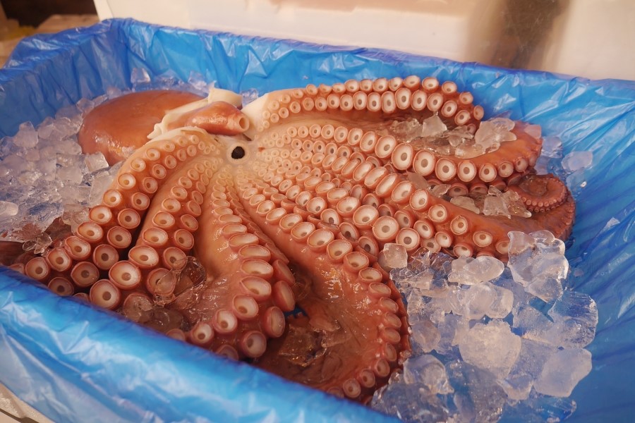 영주전통한우 이미지