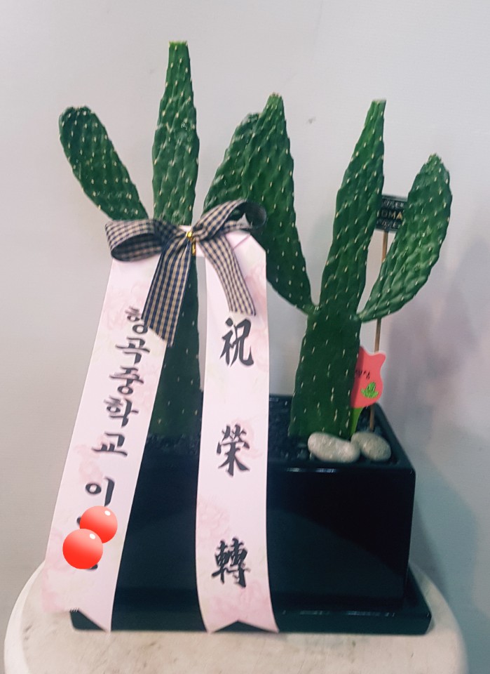 수정꽃화원 이미지