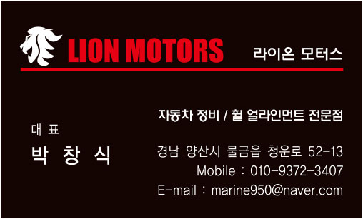 라이온모터스 이미지