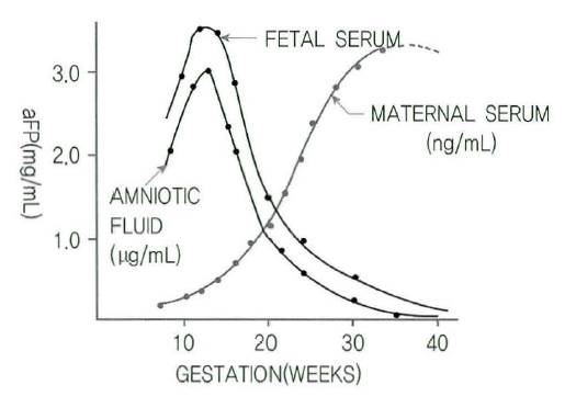 알파태아단백 (Alpha-fetoprotein) : 네이버 블로그