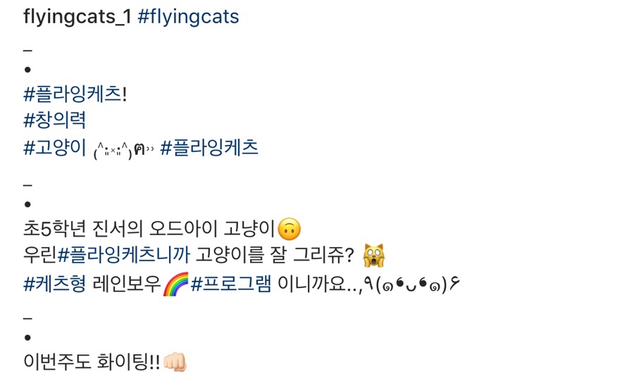 플케 이미지