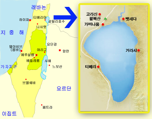 The Healing 이미지