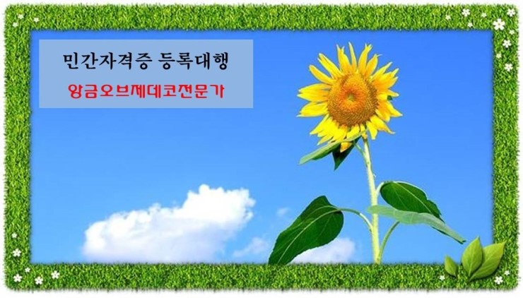 다인행정사사무소 이미지