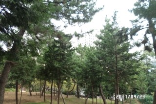 상*김* 이미지