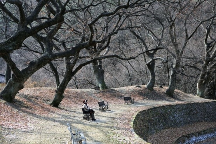 옻골공원 이미지