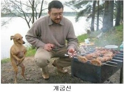 동글동글 이미지
