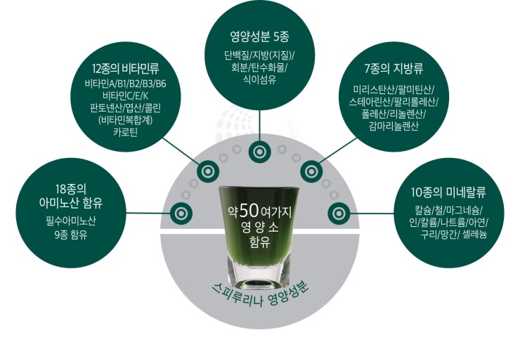 원샷 이미지