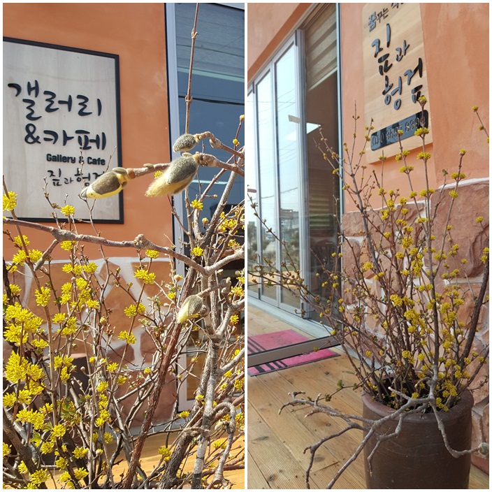 짚과헝겊 이미지
