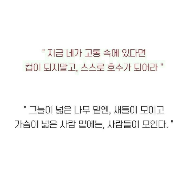 삼성그릇 이미지