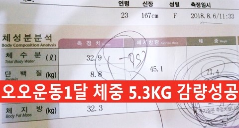 오오다이어트 이미지