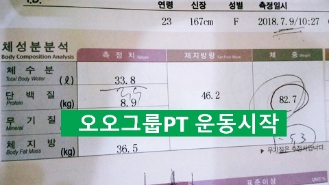 오오다이어트 이미지
