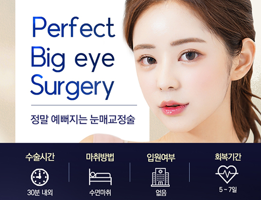황호성형외과 이미지