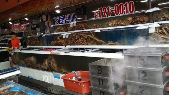 기장시장대게 이미지