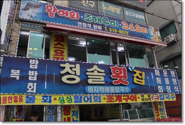 청솔회타운 이미지
