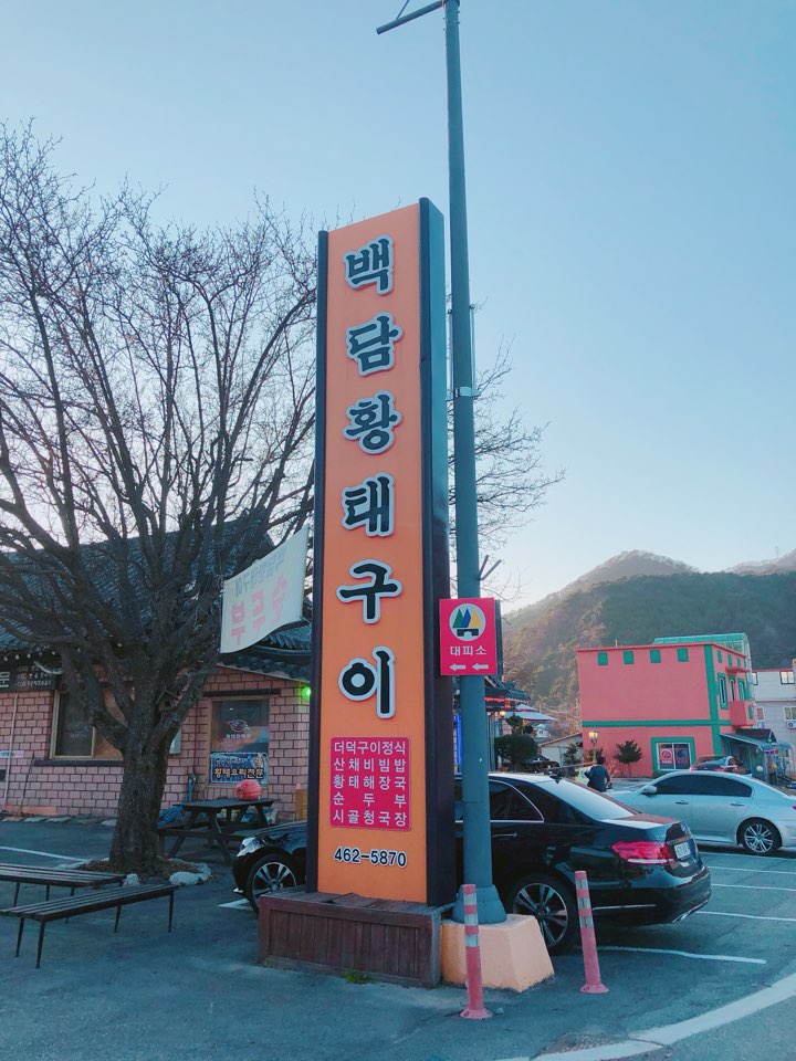 백담코다리 이미지