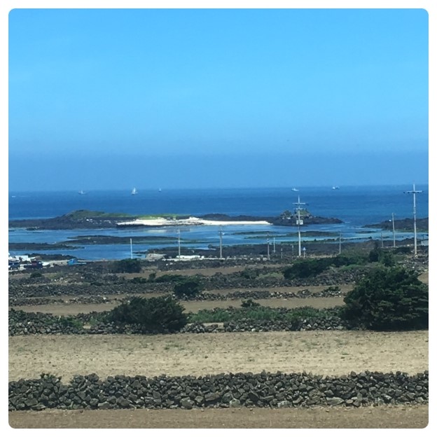 제주도메르블루게스트하우스파티 이미지