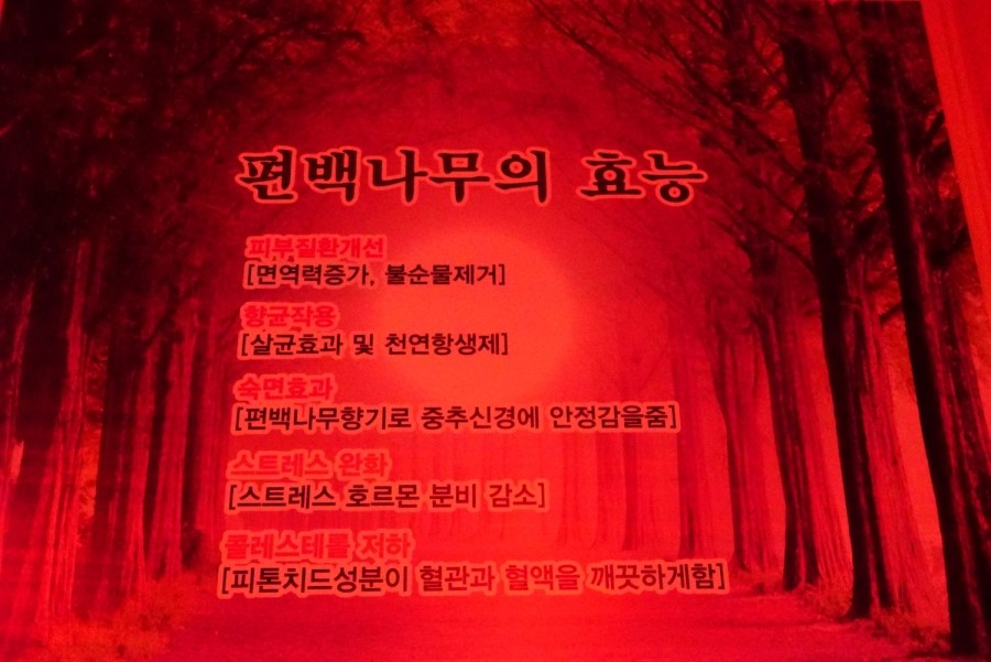 이환헤어 이미지