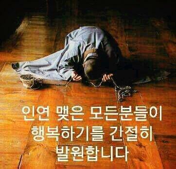 보문불교사 이미지