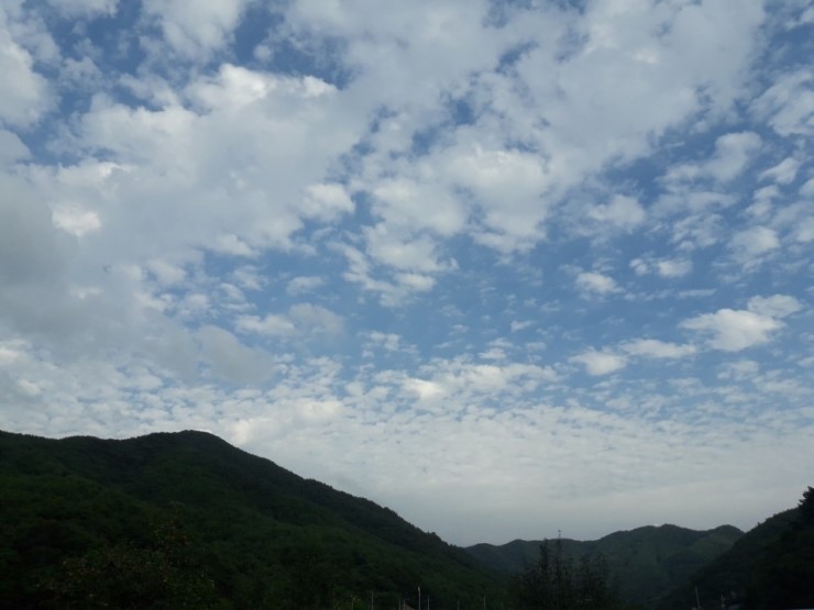 (주)청아환경 이미지