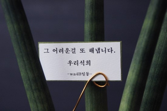 라벤더그레이 이미지