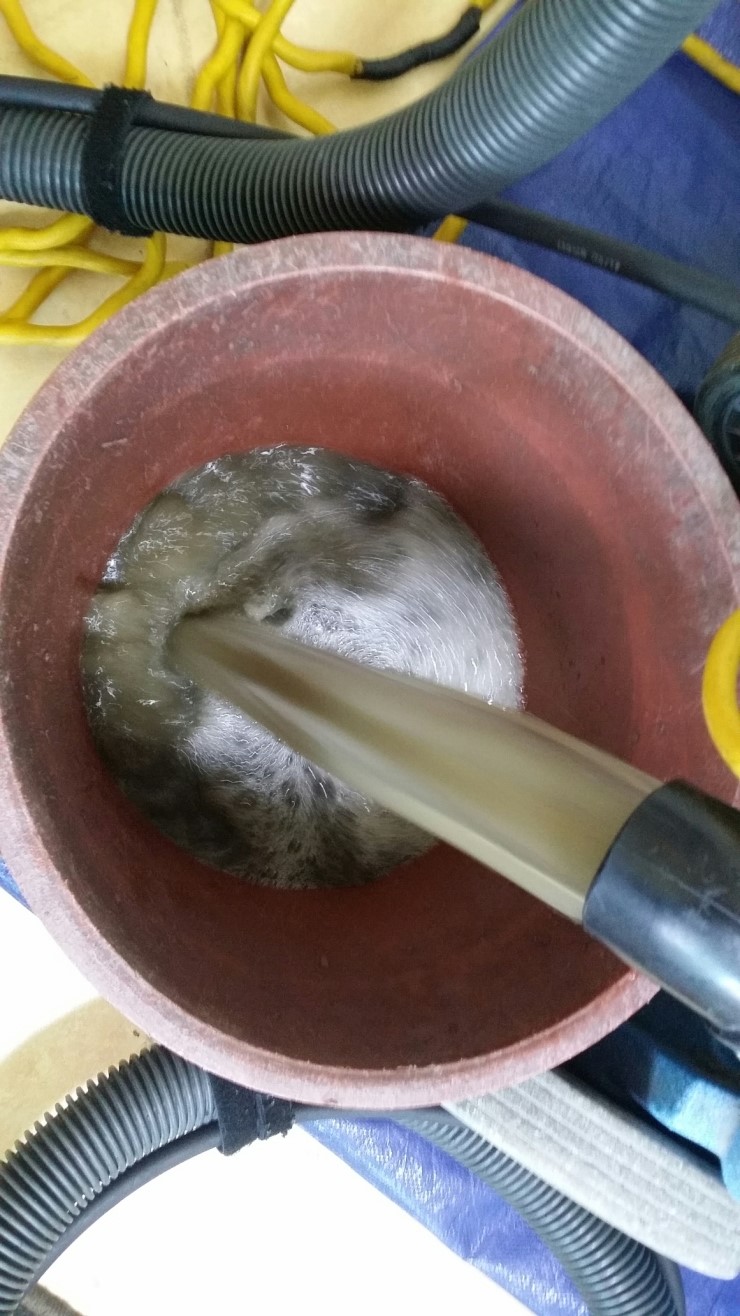 풍림세탁 이미지