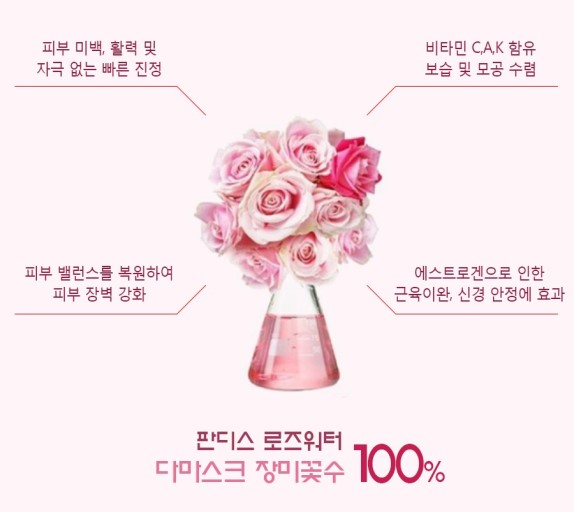 판디스 이미지